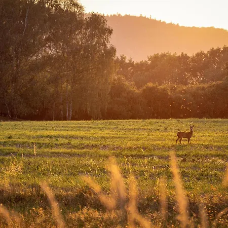Apartmán Aurora By Interhome