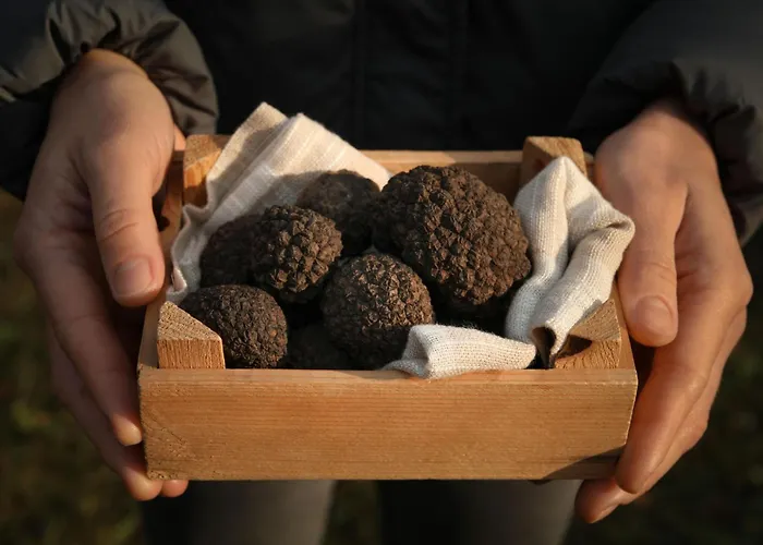 Aurora By Interhome *