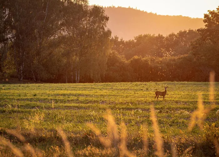 Apartmán Aurora By Interhome